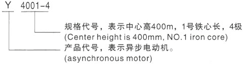 西安泰富西玛Y系列(H355-1000)高压YJTFKK4004-6-250KW三相异步电机型号说明