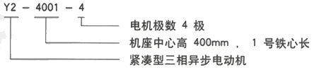 YR系列(H355-1000)高压YJTFKK4004-6-250KW三相异步电机西安西玛电机型号说明